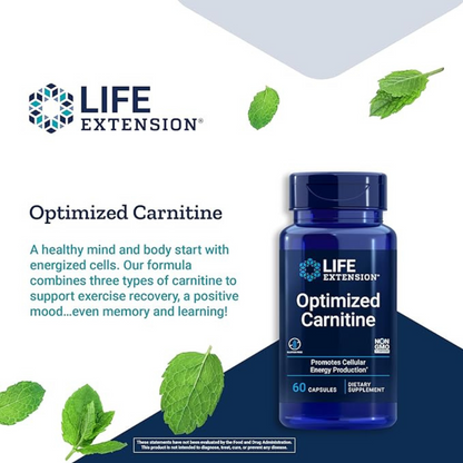 optimize carnitine