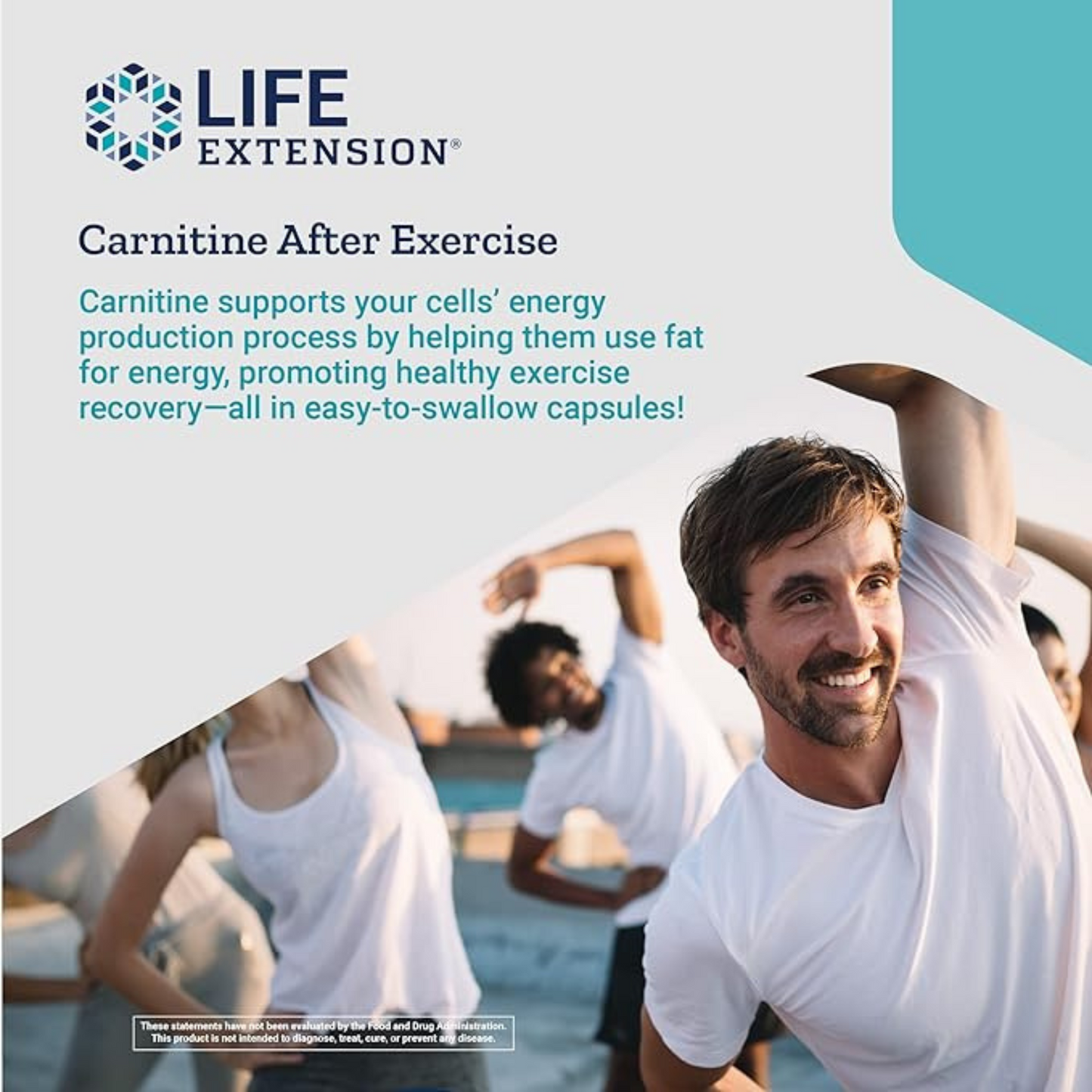 carnitine after exercise