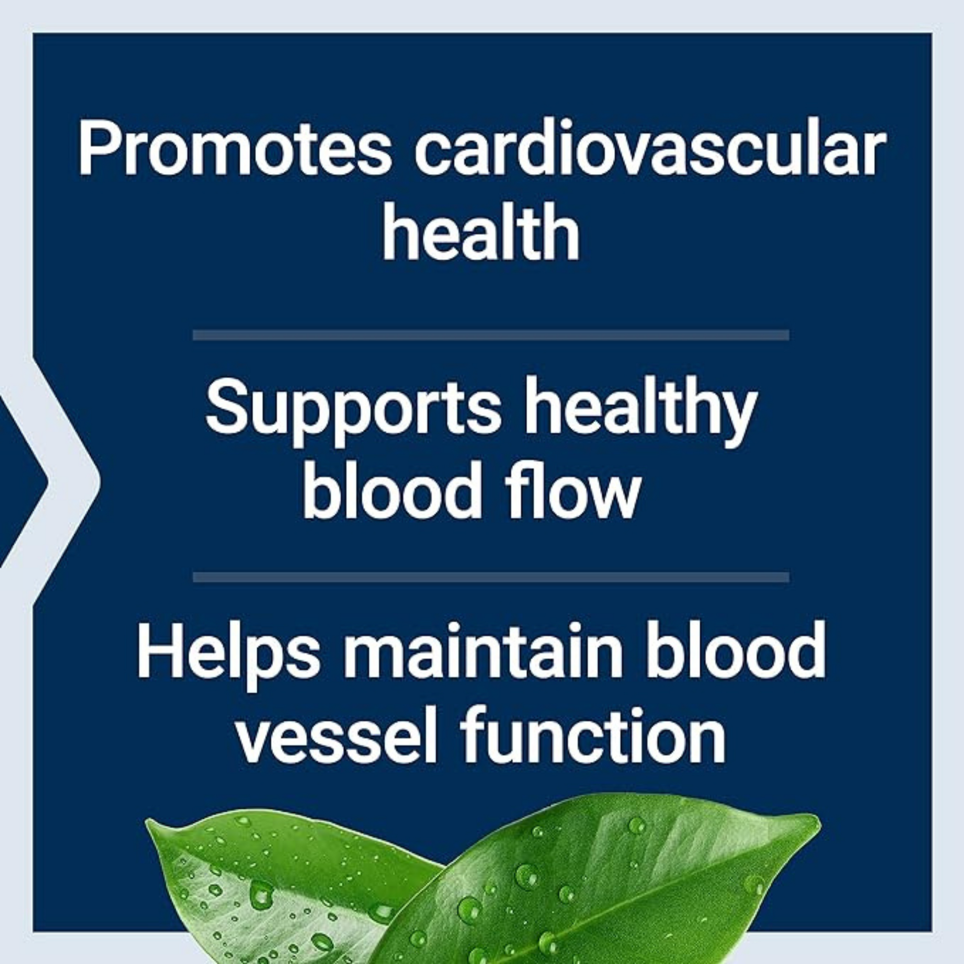 promote cardiovascular health