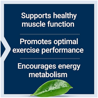 promotes optimal exercise performance